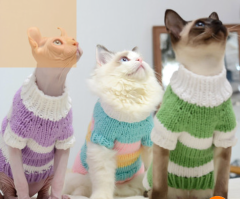 Cat Clothing