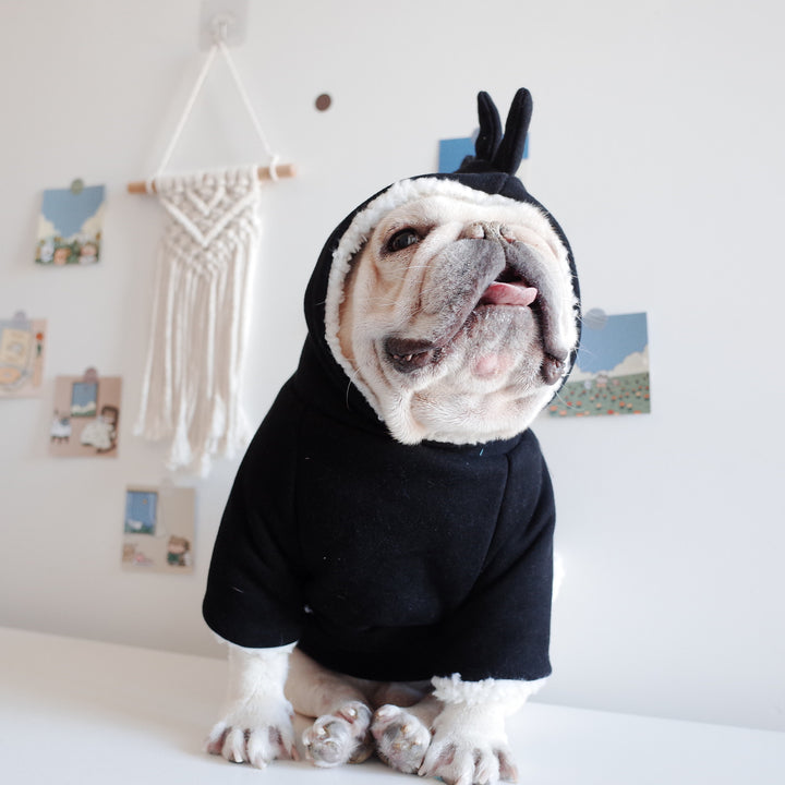 Winter Dog Warm Dinosaur Hooded Sweater