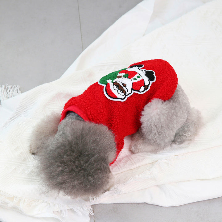 Teddy Small Dog clothing