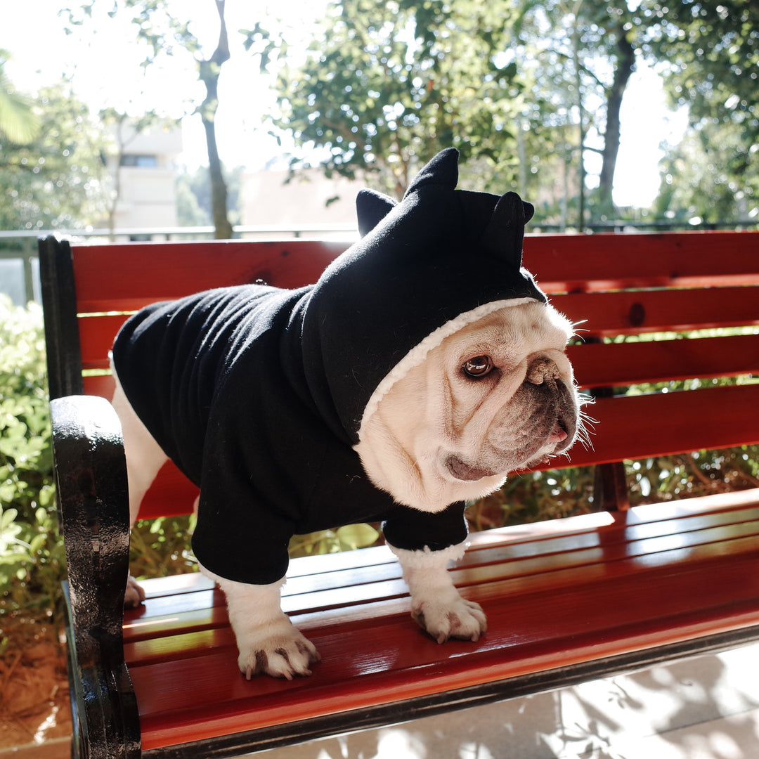 Winter Dog Warm Dinosaur Hooded Sweater