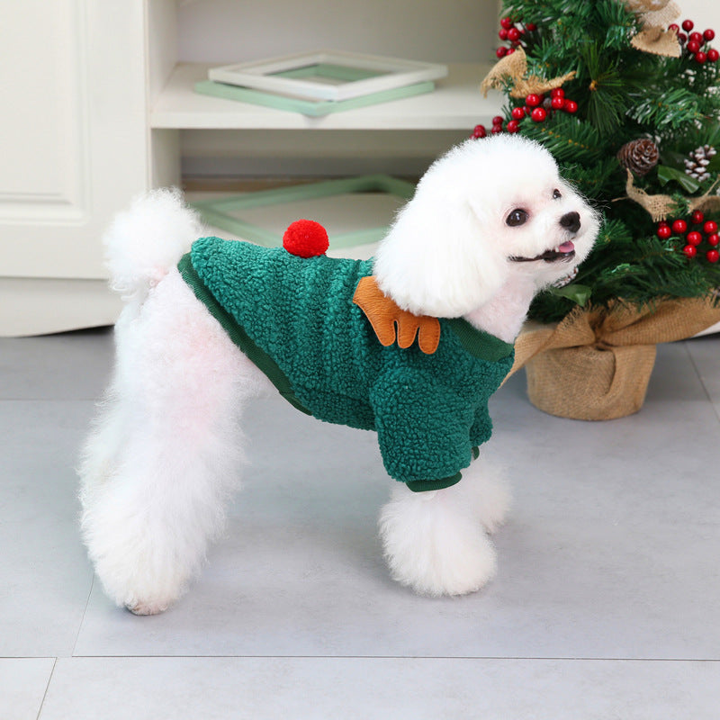 Teddy Small Dog clothing