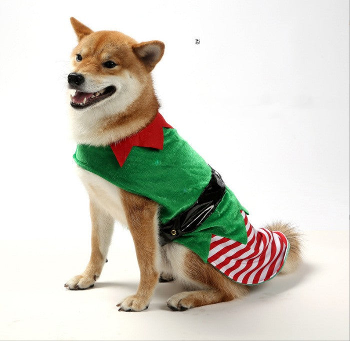 Christmas doggy clothing