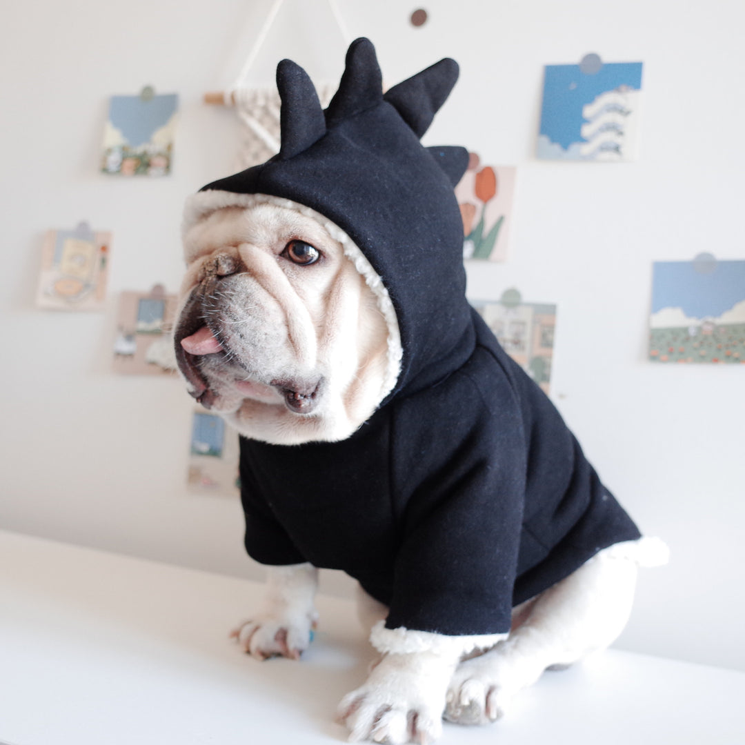 Winter Dog Warm Dinosaur Hooded Sweater